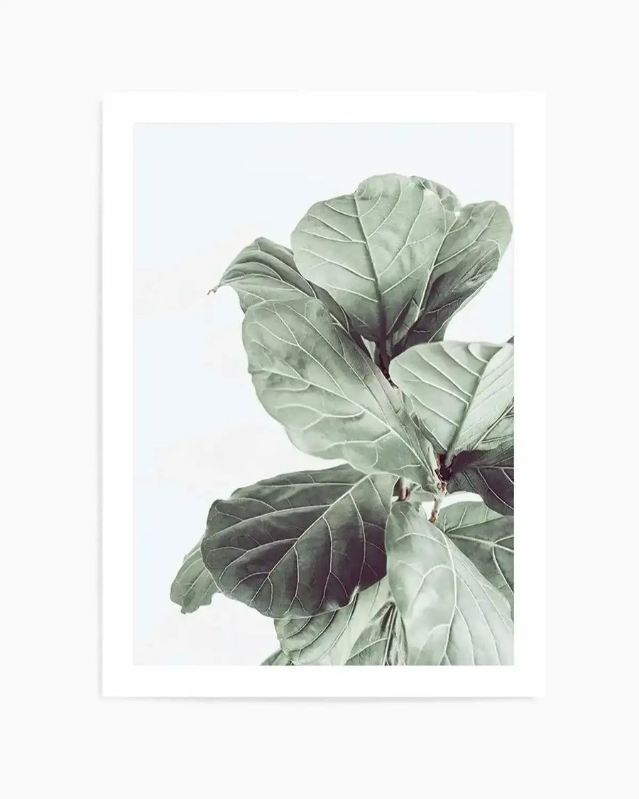 Fiddle Fig I Art Print from Olive et Oriel where you can shop wallpaper and artworks online