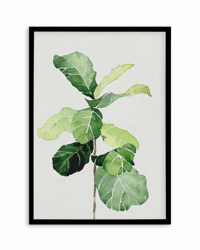 Fiddle Fig in Watercolour I Art Print