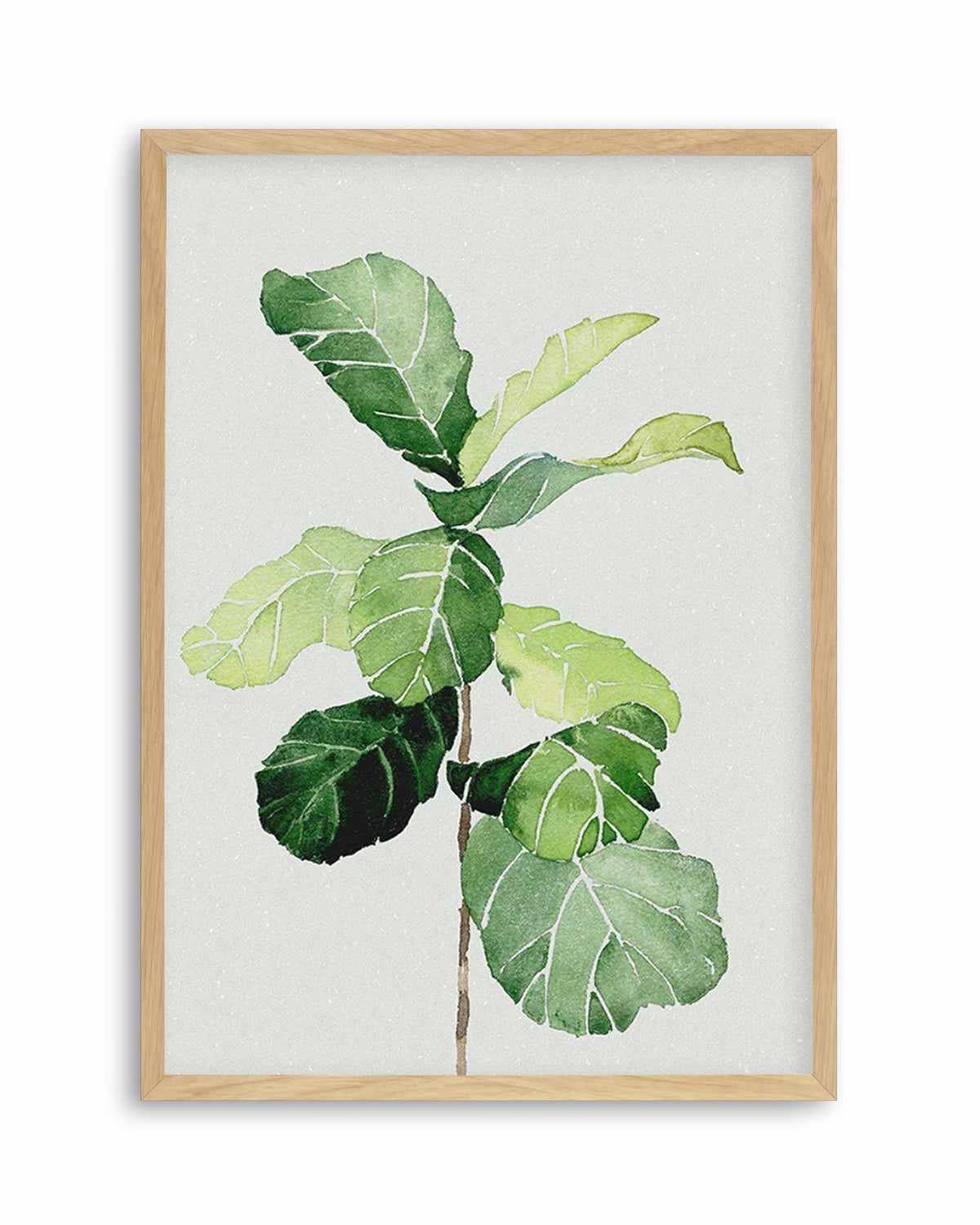 Fiddle Fig in Watercolour I Art Print