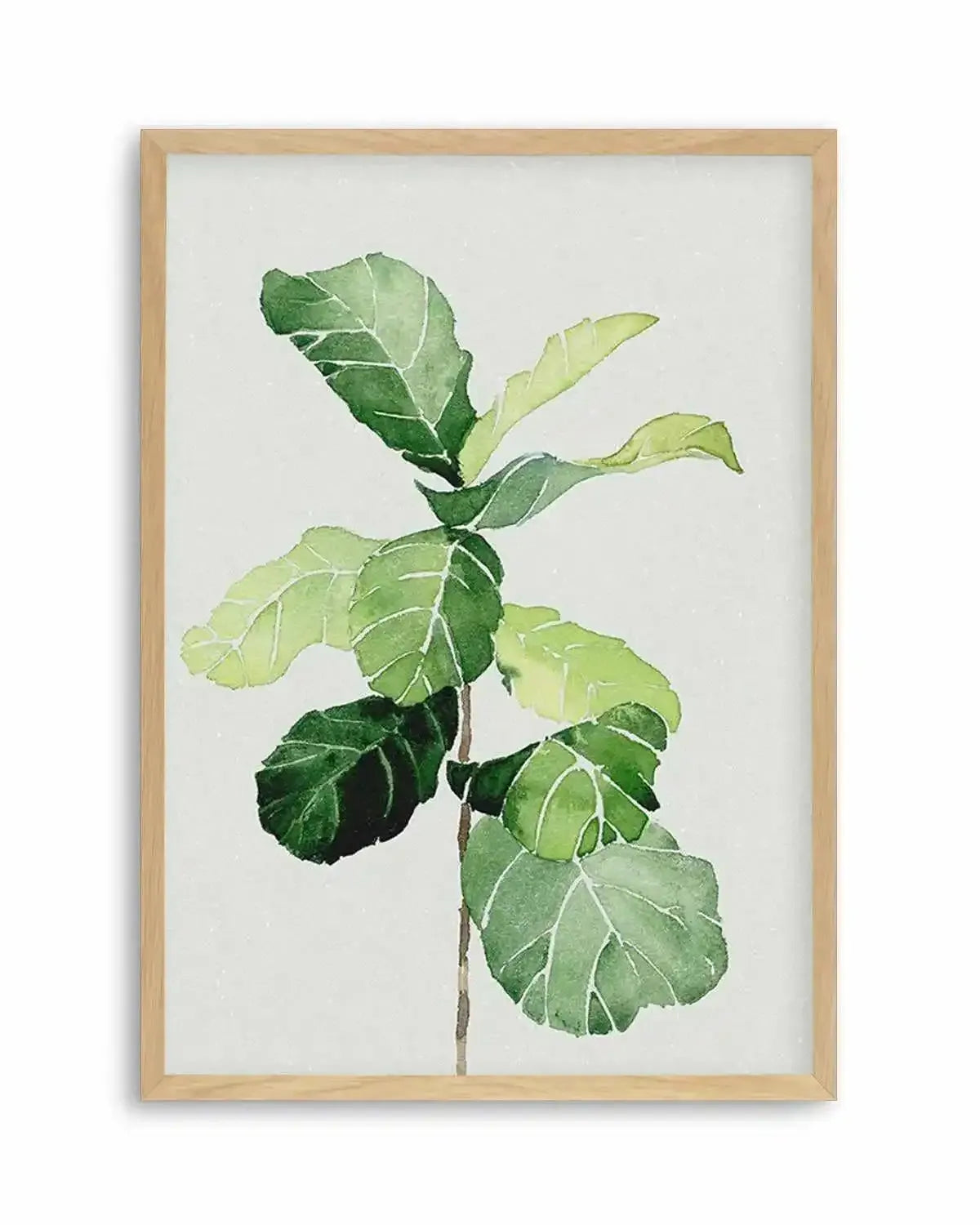 Fiddle Fig in Watercolour I Art Print from Olive et Oriel where you can shop wallpaper and artworks online
