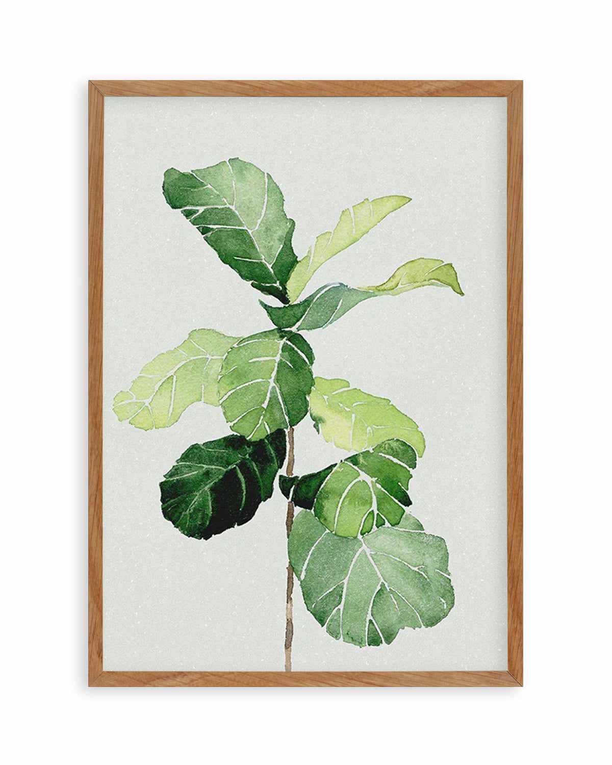 Fiddle Fig in Watercolour I Art Print