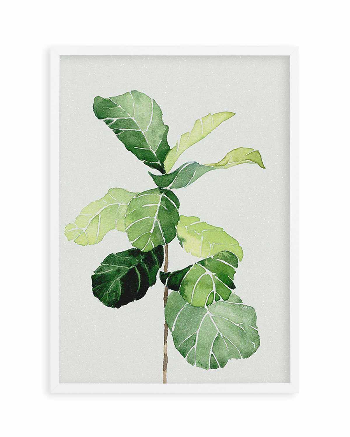 Fiddle Fig in Watercolour I Art Print