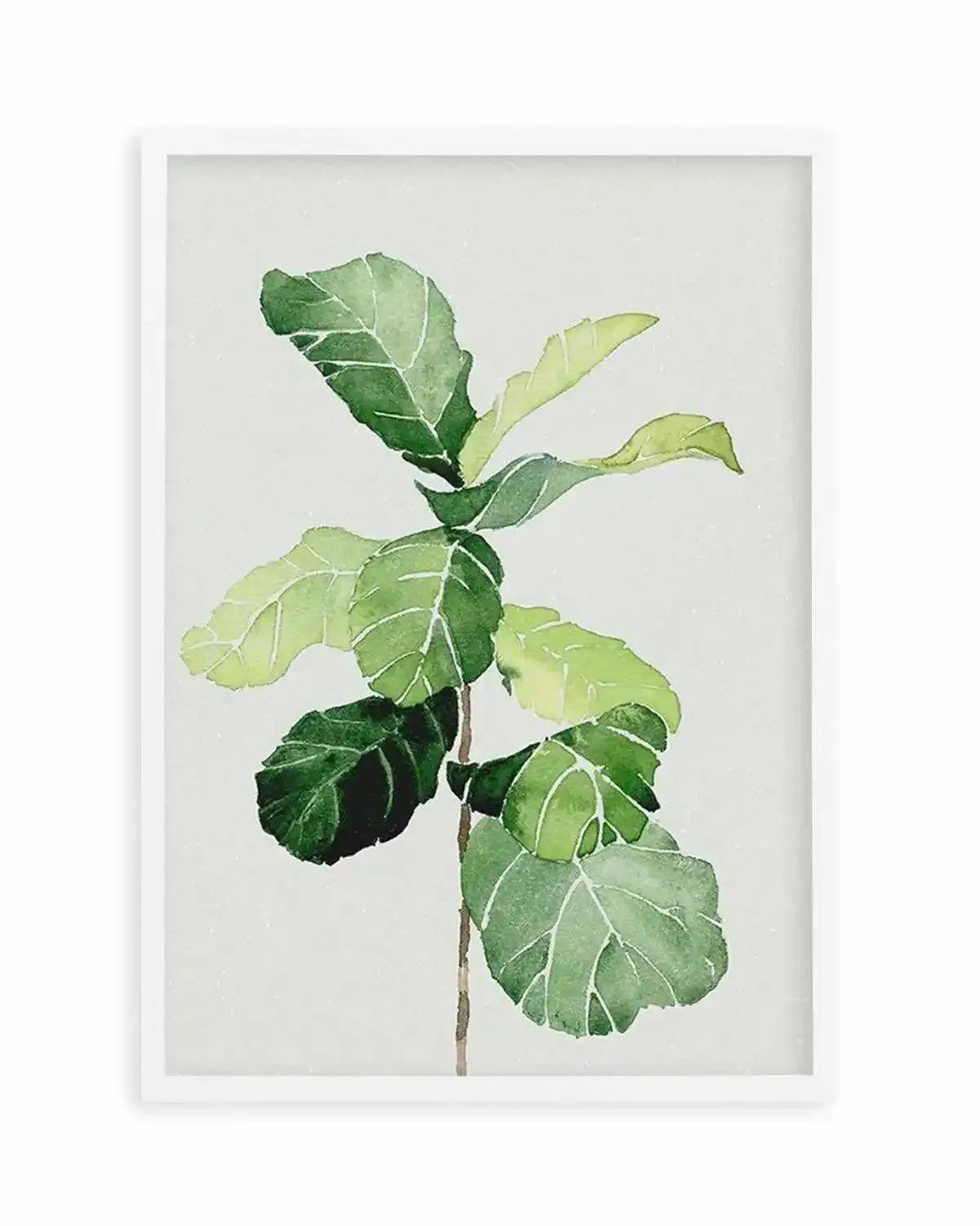 Fiddle Fig in Watercolour I Art Print from Olive et Oriel where you can shop wallpaper and artworks online