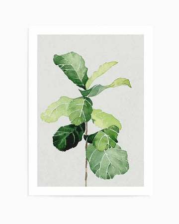 Fiddle Fig in Watercolour I Art Print from Olive et Oriel where you can shop wallpaper and artworks online