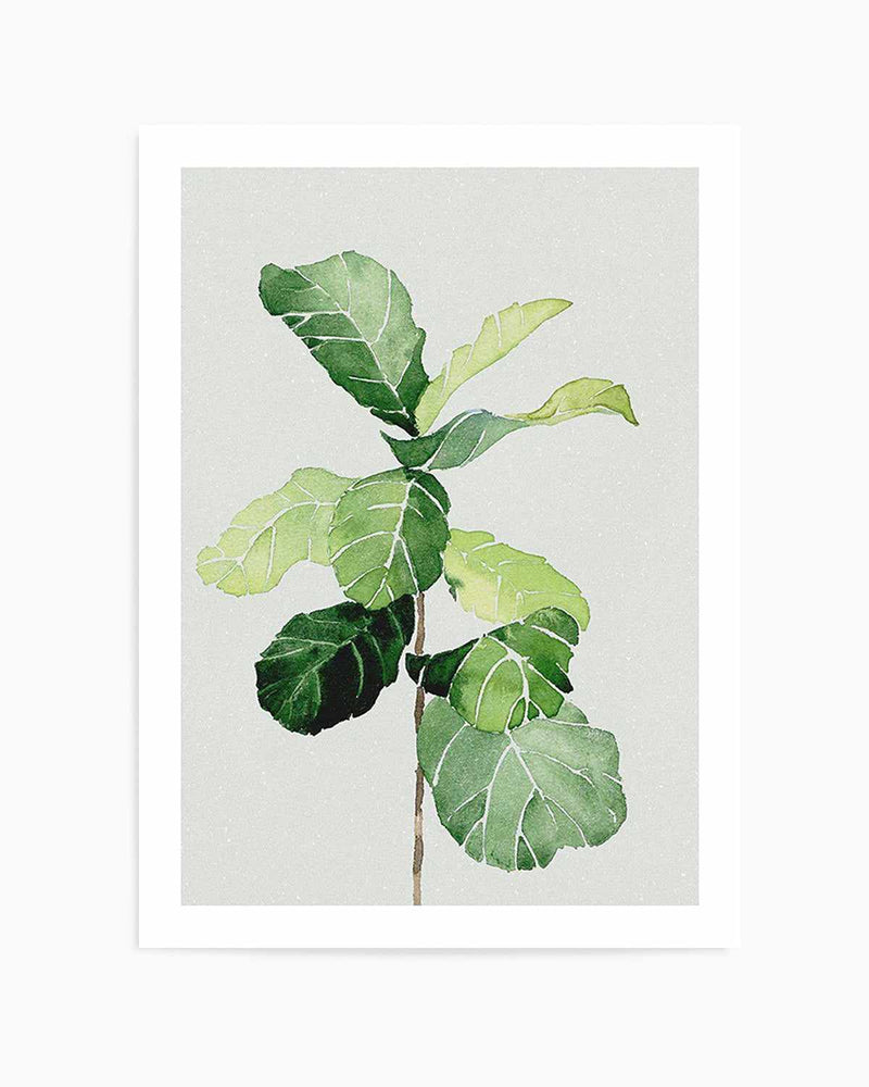 Fiddle Fig in Watercolour I Art Print