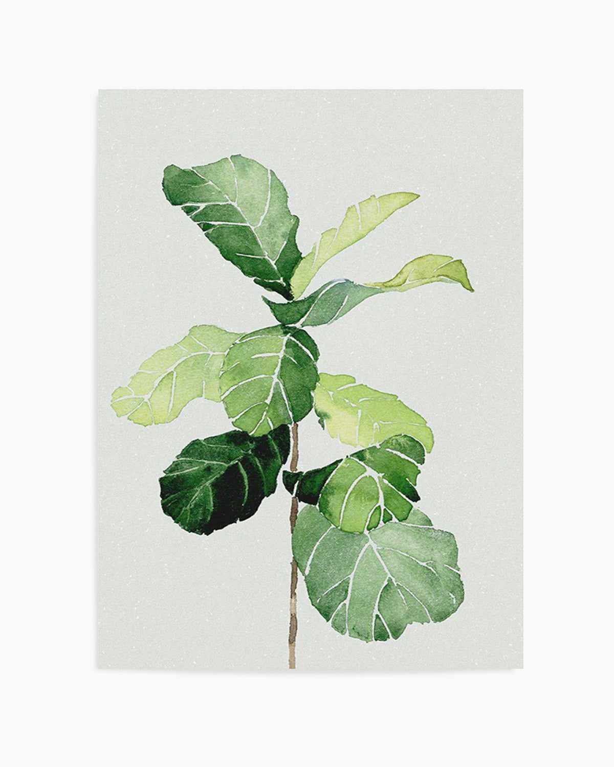 Fiddle Fig in Watercolour I Art Print