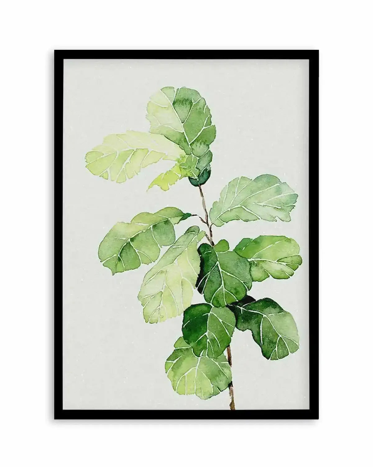 Fiddle Fig in Watercolour II Art Print from Olive et Oriel where you can shop wallpaper and artworks online