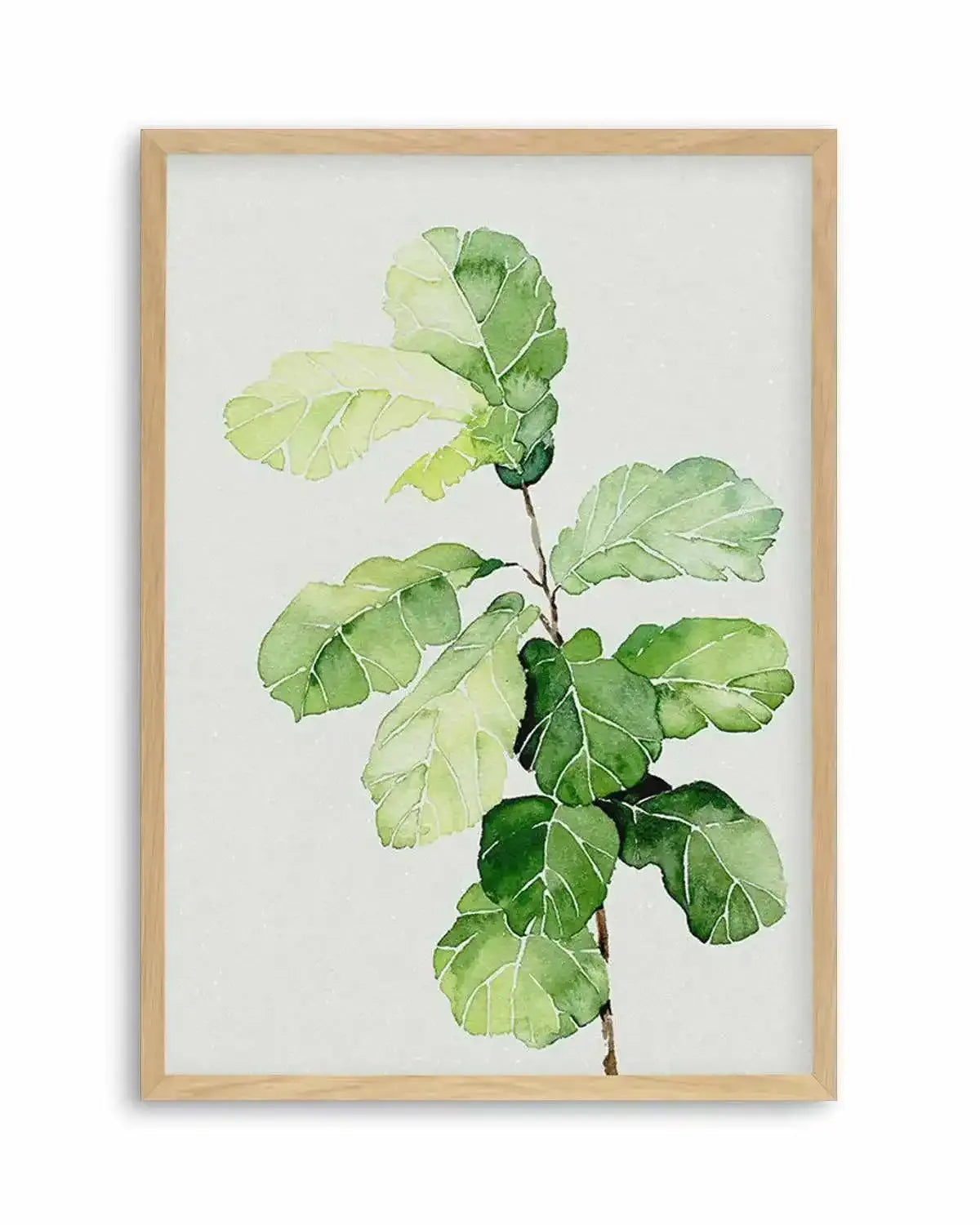 Fiddle Fig in Watercolour II Art Print from Olive et Oriel where you can shop wallpaper and artworks online