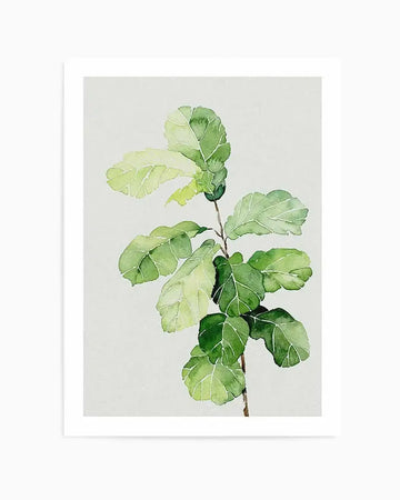Watercolour art print featuring a fiddle leaf fig plant with large, rounded leaves in varying shades of green, from light lime to deep emerald, on a light grey background. The loose brushstrokes create a soft, organic texture, and the plant's stem is a thin brown line.
