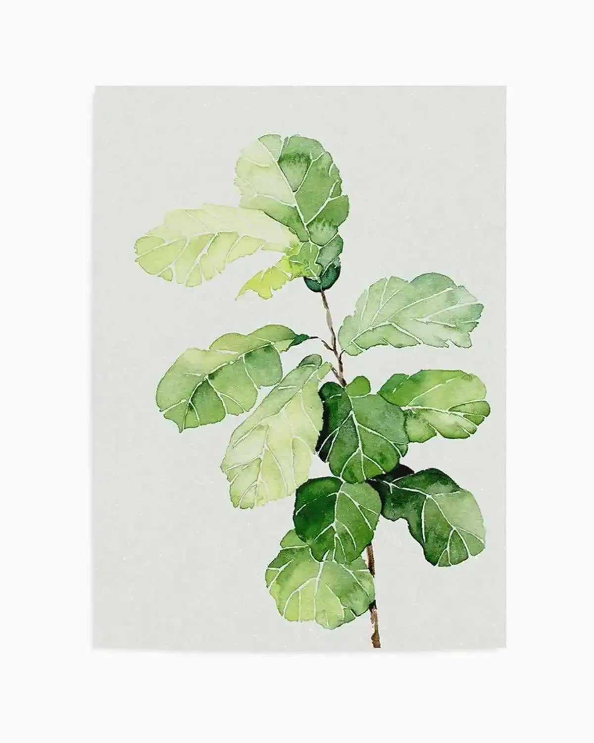 Fiddle Fig in Watercolour II Art Print from Olive et Oriel where you can shop wallpaper and artworks online