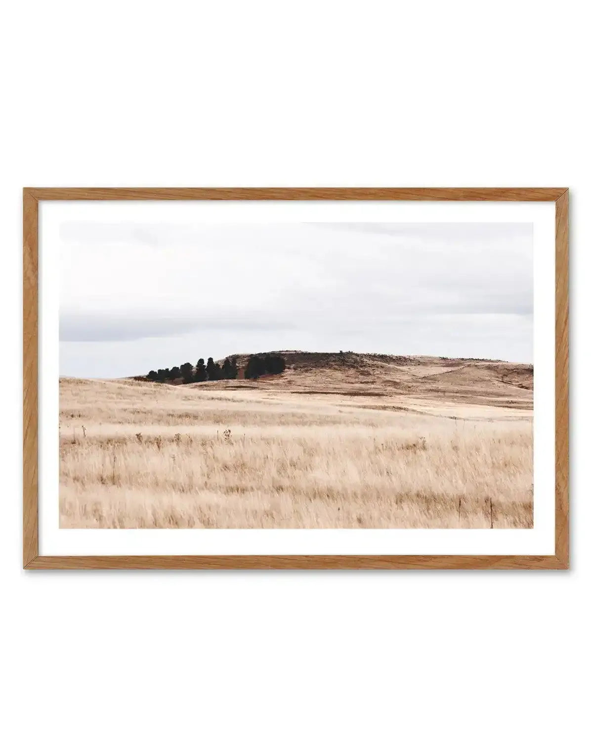Fields of Gold | LS Art Print-PRINT-Olive et Oriel-Olive et Oriel-50x70 cm | 19.6" x 27.5"-Walnut-With White Border-Buy-Australian-Art-Prints-Online-with-Olive-et-Oriel-Your-Artwork-Specialists-Austrailia-Decorate-With-Coastal-Photo-Wall-Art-Prints-From-Our-Beach-House-Artwork-Collection-Fine-Poster-and-Framed-Artwork