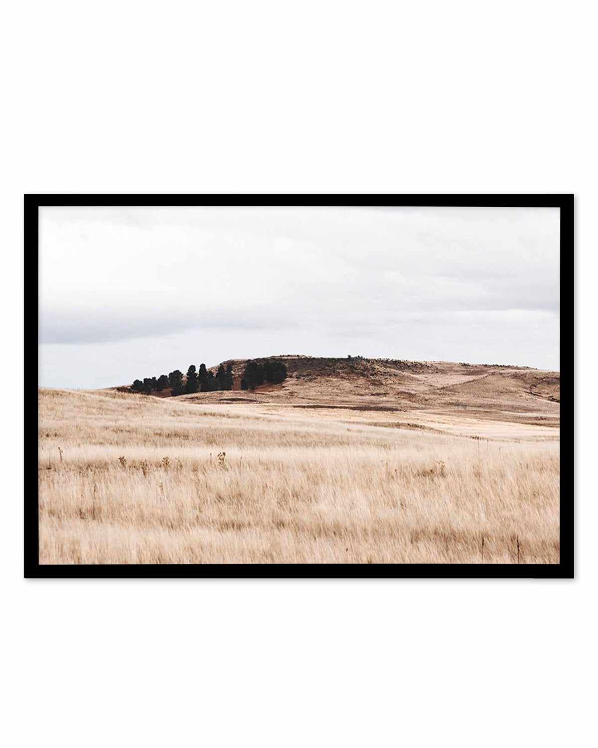 Fields of Gold | LS Art Print