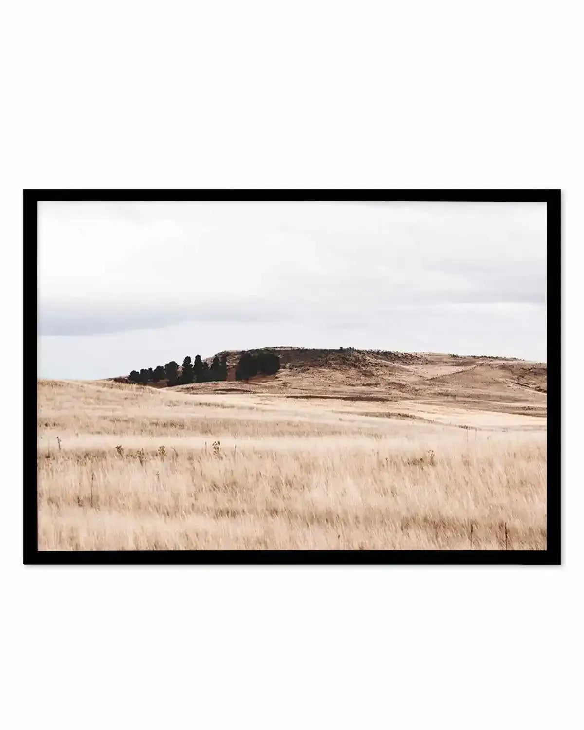 Fields of Gold | LS Art Print from Olive et Oriel where you can shop wallpaper and artworks online