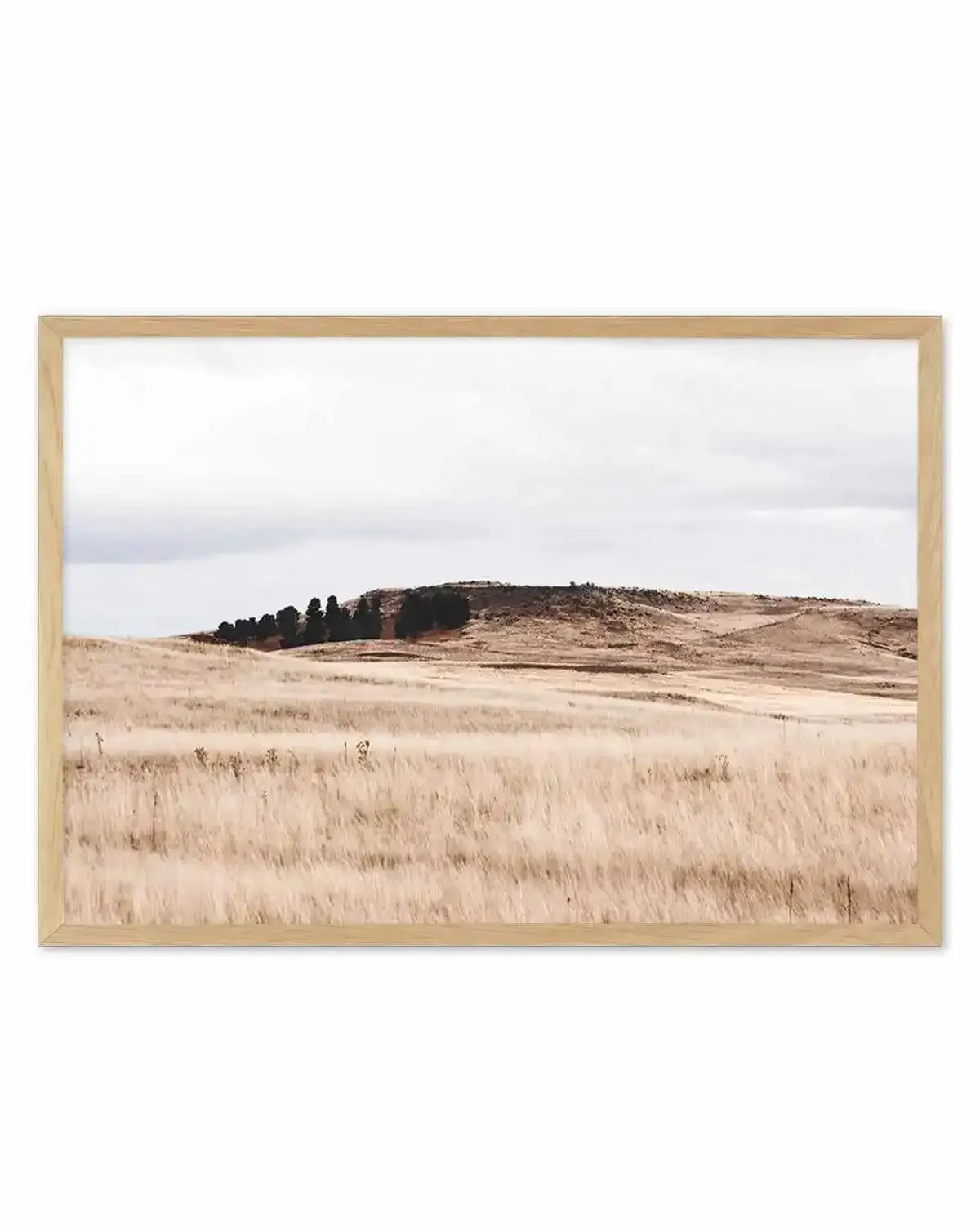 Fields of Gold | LS Art Print from Olive et Oriel where you can shop wallpaper and artworks online