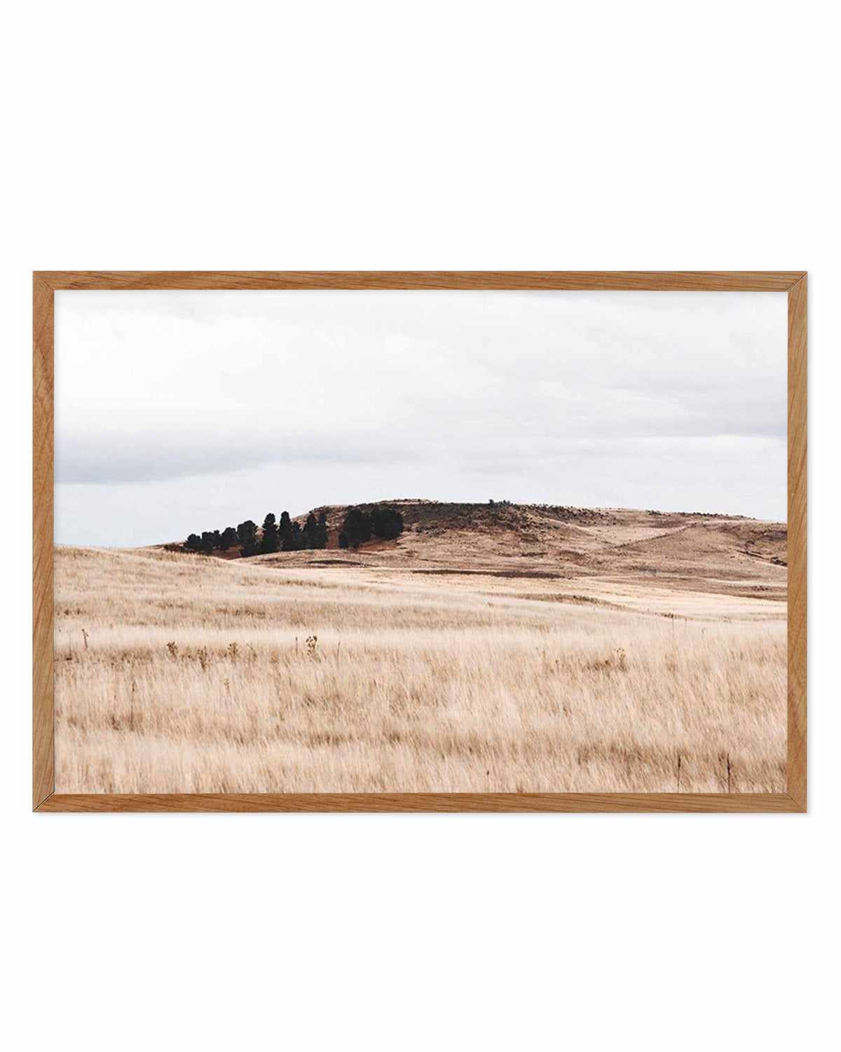 Fields of Gold | LS Art Print