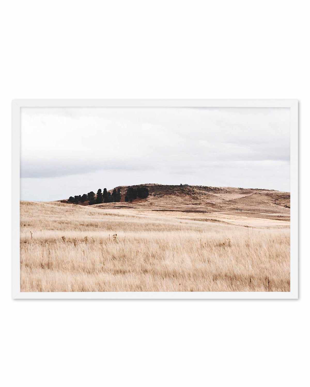 Fields of Gold | LS Art Print