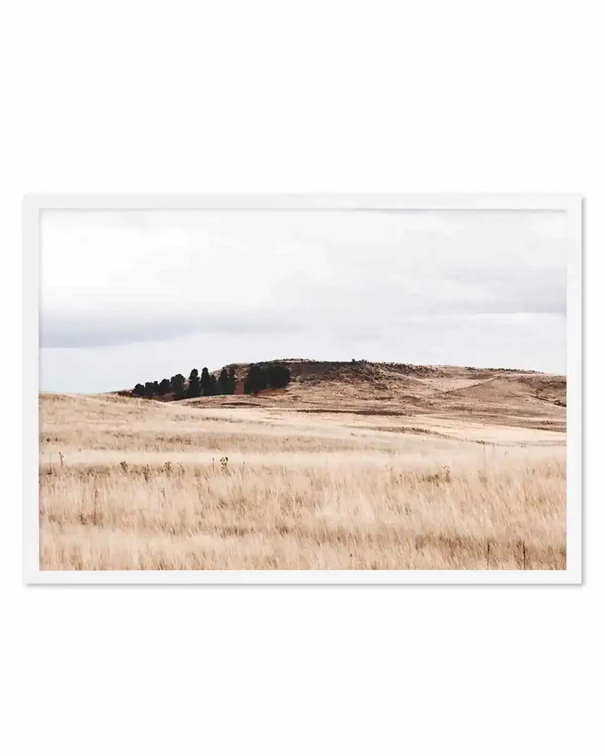 Fields of Gold | LS Art Print from Olive et Oriel where you can shop wallpaper and artworks online