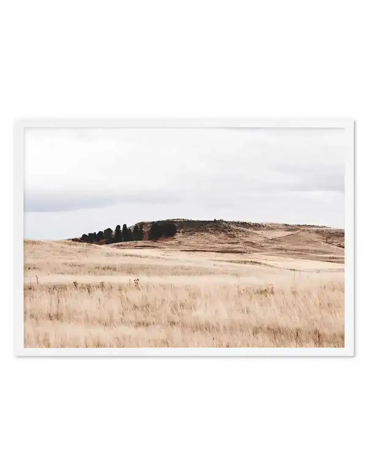 Fields of Gold | LS Art Print from Olive et Oriel where you can shop wallpaper and artworks online
