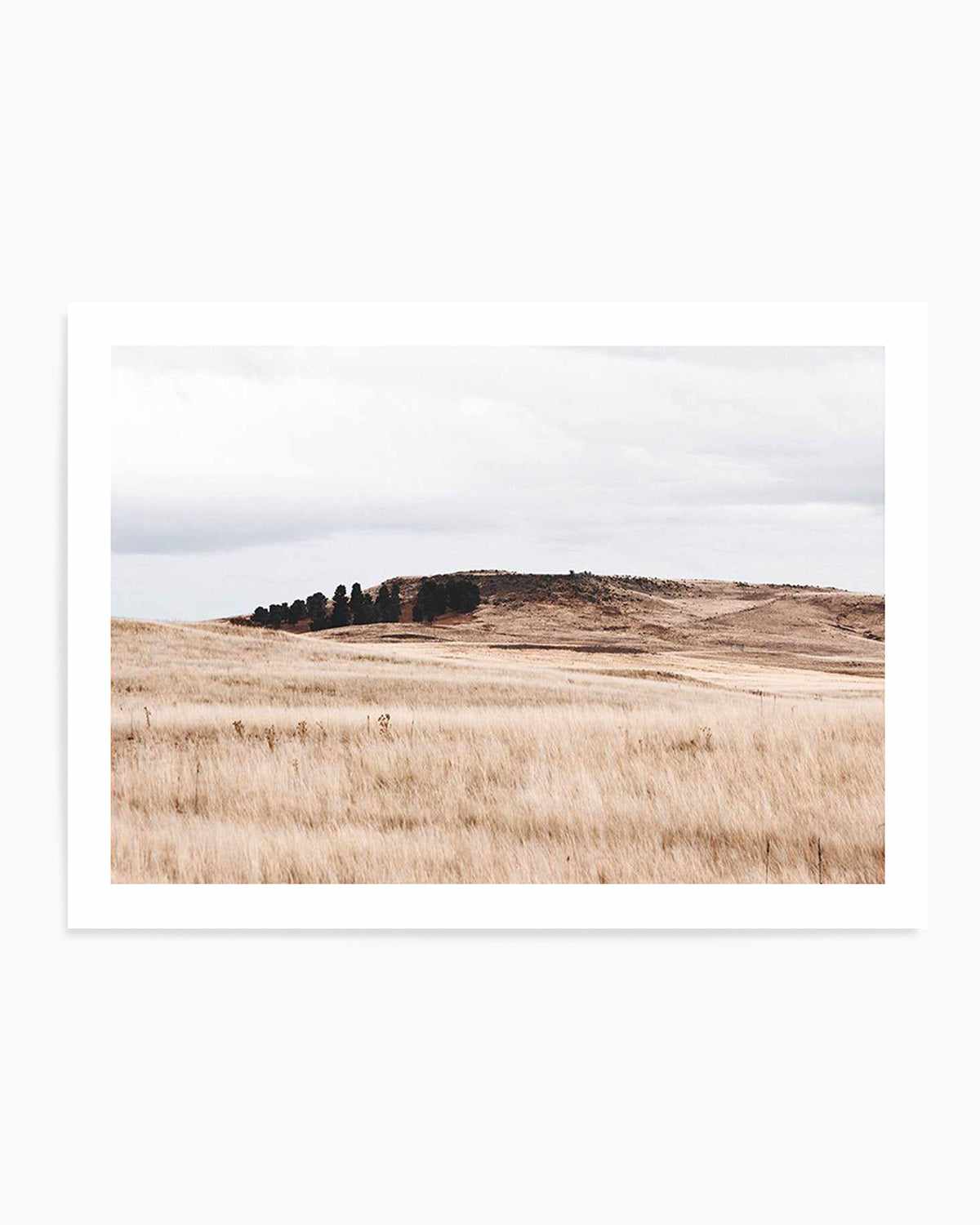 Fields of Gold | LS Art Print