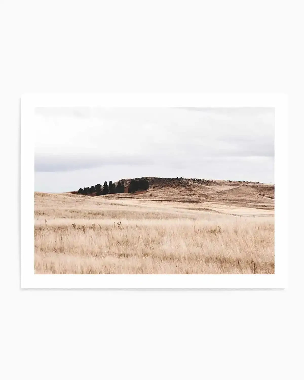 Fields of Gold | LS Art Print from Olive et Oriel where you can shop wallpaper and artworks online