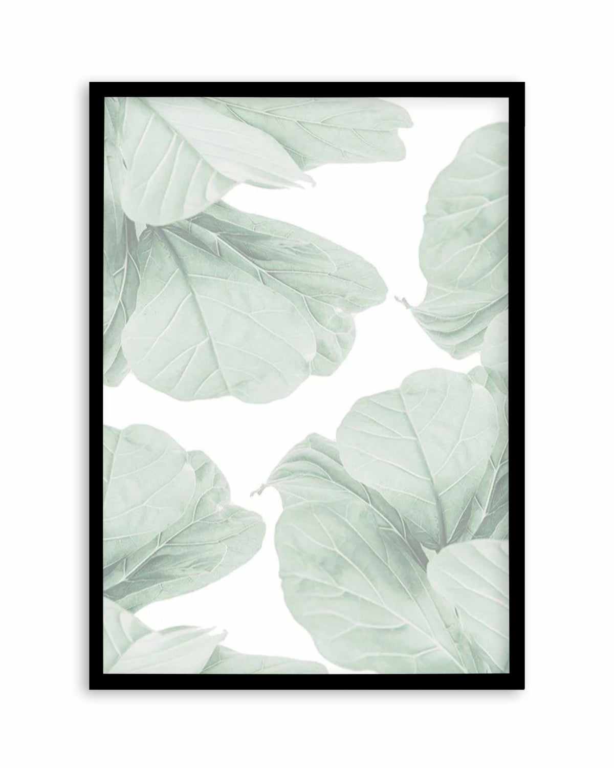 Fig Leaves I Art Print