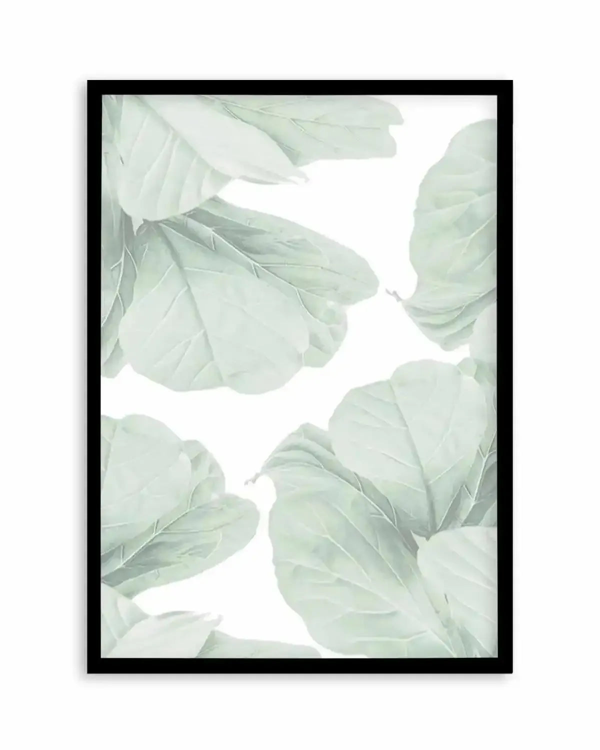 Fig Leaves I Art Print from Olive et Oriel where you can shop wallpaper and artworks online