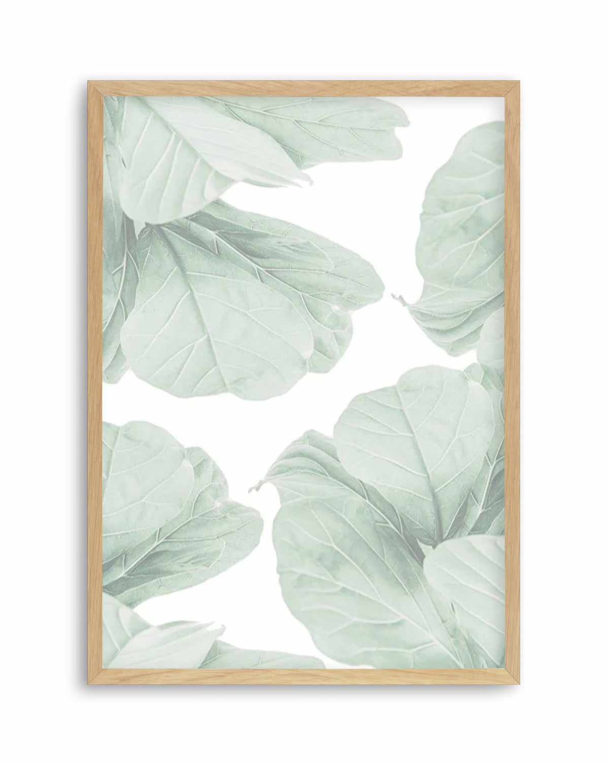 Fig Leaves I Art Print