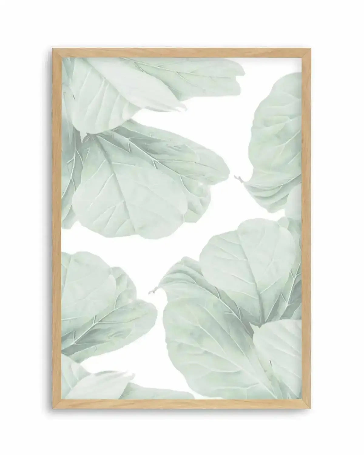 Fig Leaves I Art Print from Olive et Oriel where you can shop wallpaper and artworks online