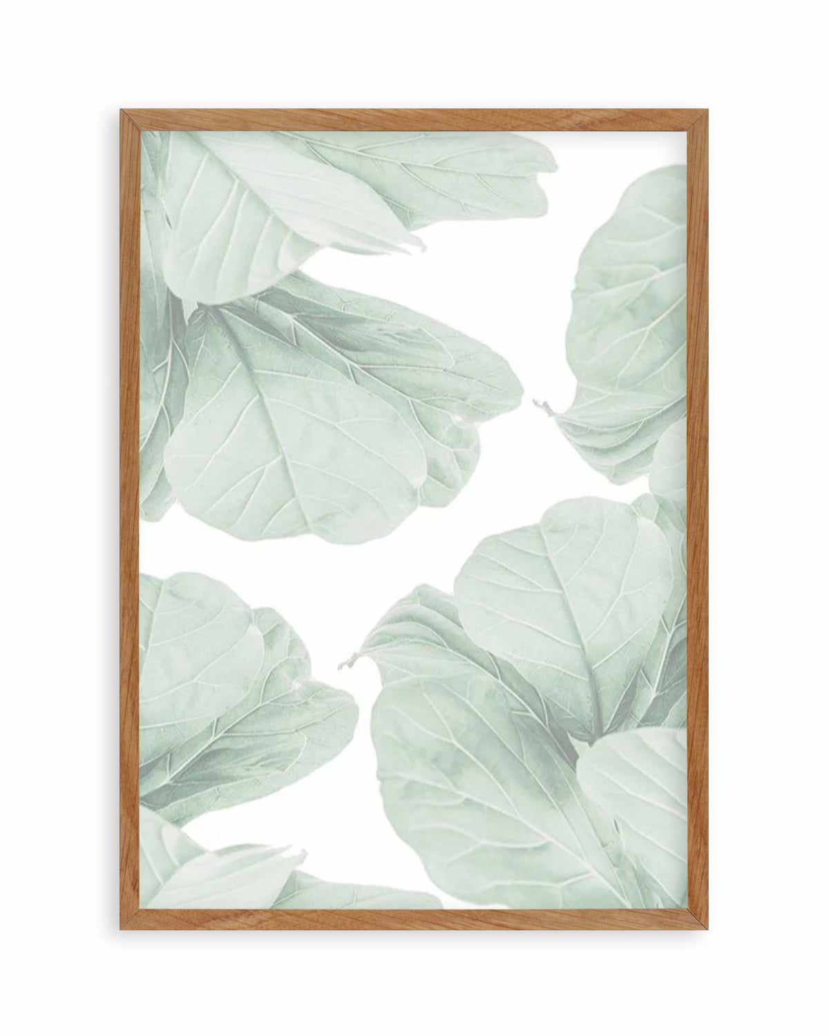 Fig Leaves I Art Print