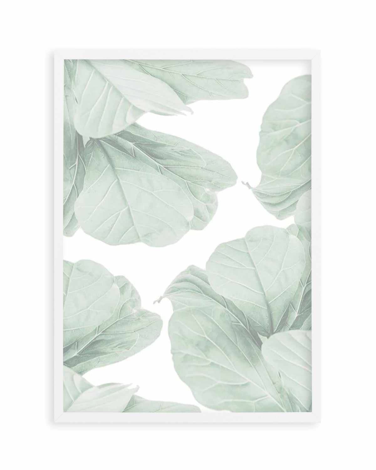 Fig Leaves I Art Print