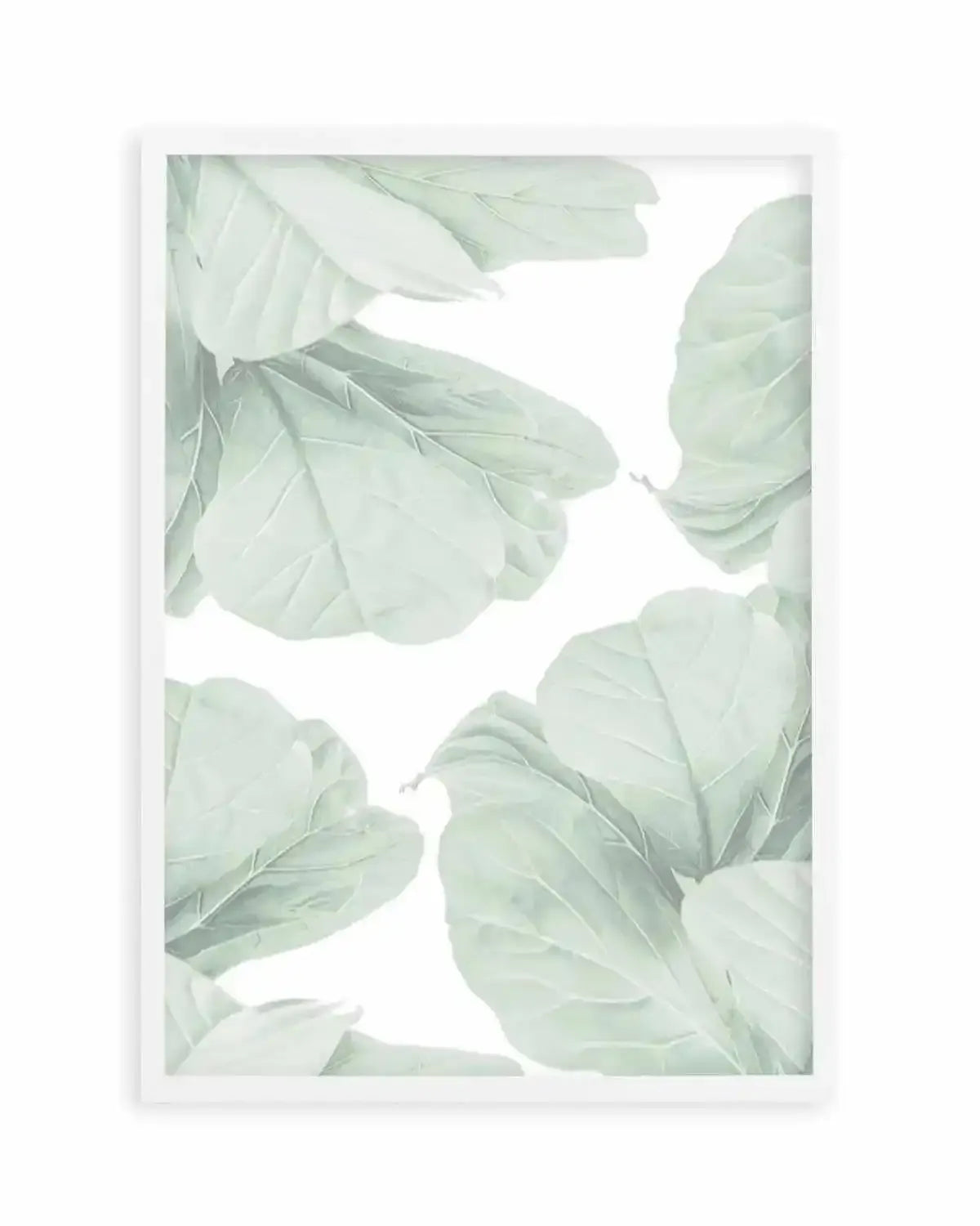 Fig Leaves I Art Print from Olive et Oriel where you can shop wallpaper and artworks online