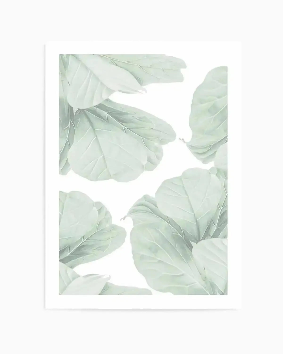 Fig Leaves I Art Print from Olive et Oriel where you can shop wallpaper and artworks online