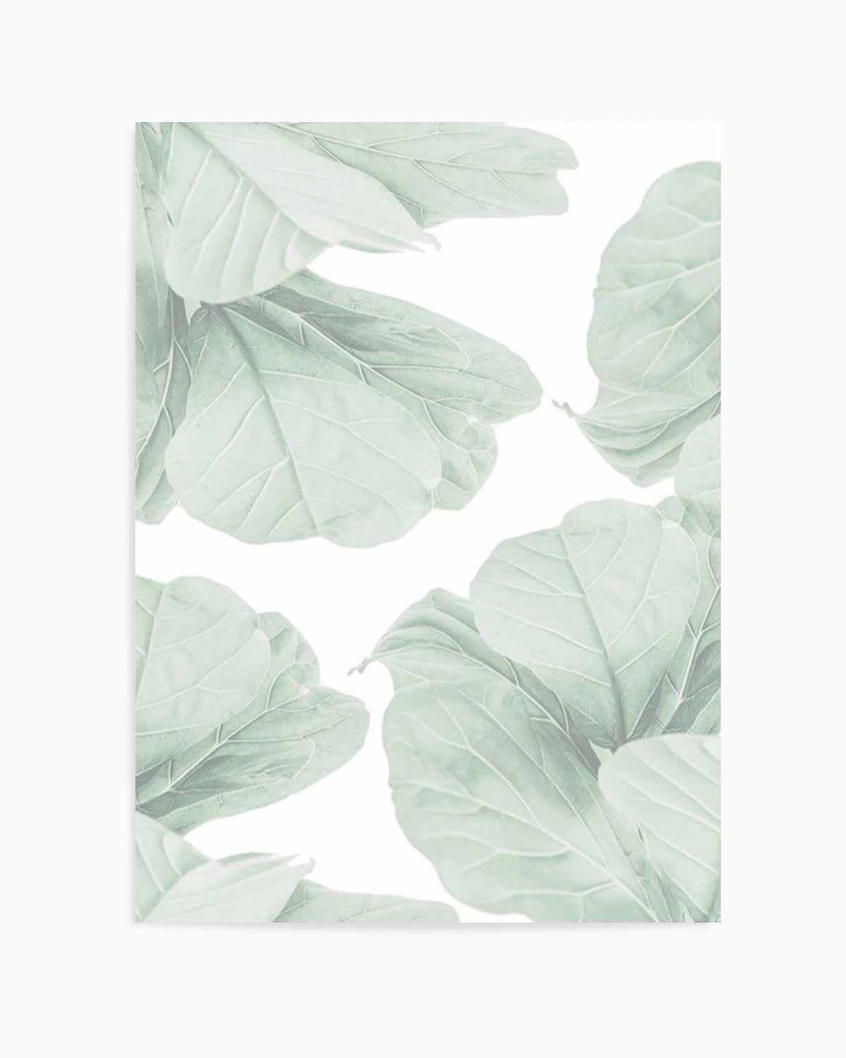 Fig Leaves I Art Print