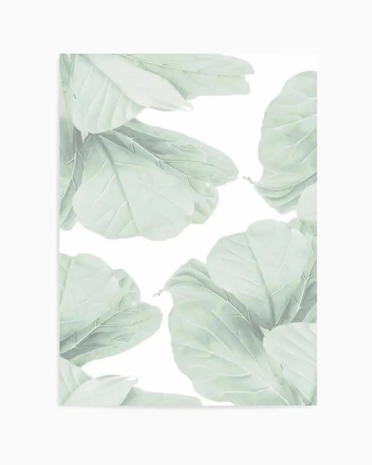 Fig Leaves I Art Print from Olive et Oriel where you can shop wallpaper and artworks online