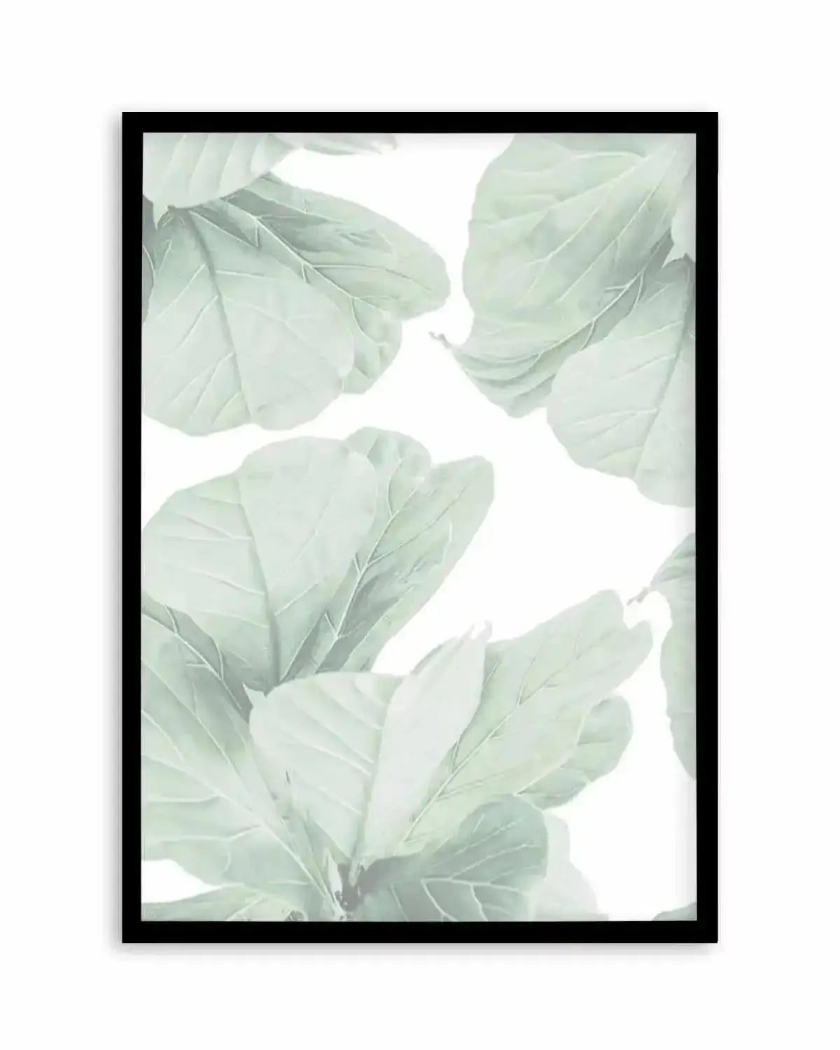 Fig Leaves II Art Print from Olive et Oriel where you can shop wallpaper and artworks online