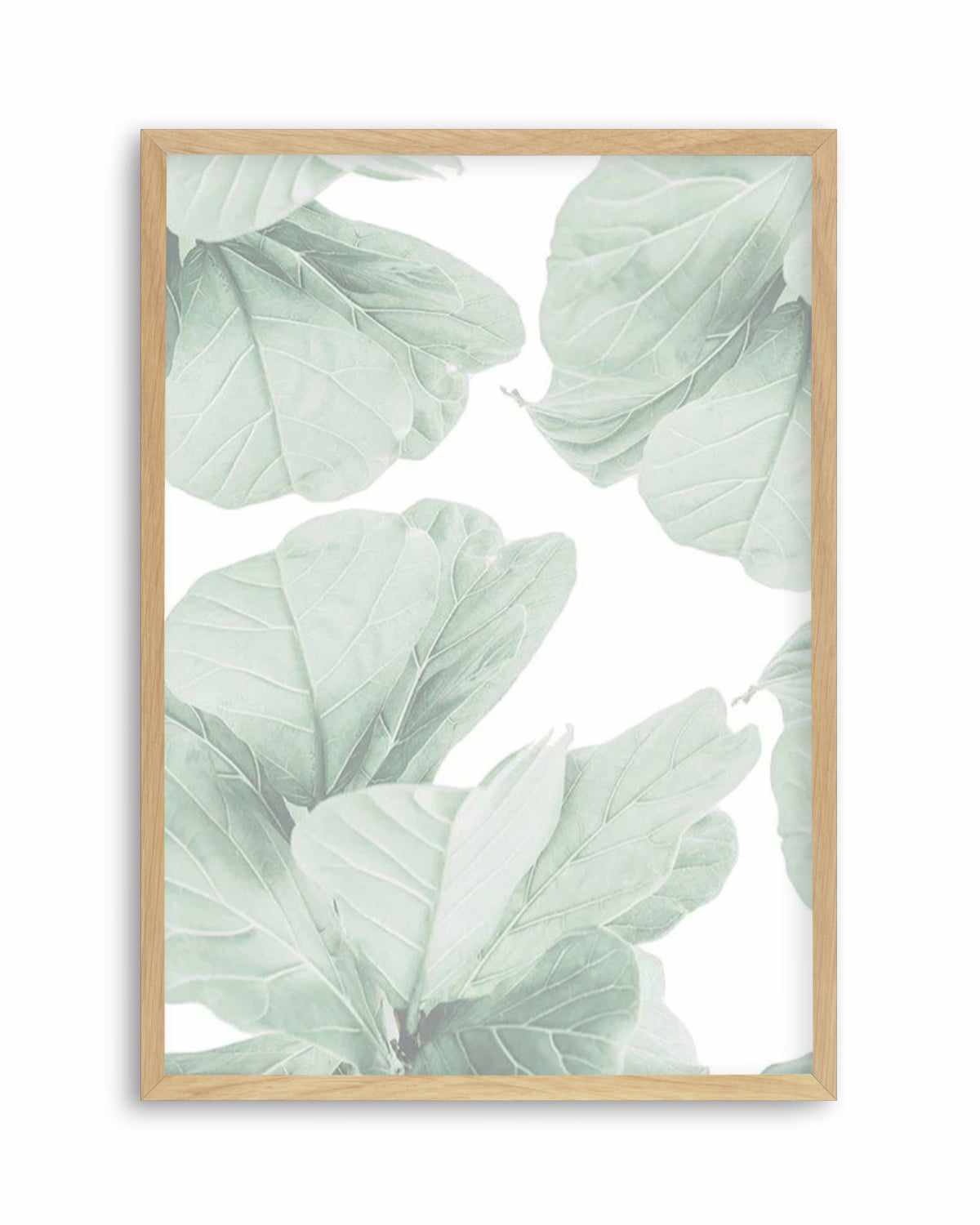 Fig Leaves II Art Print