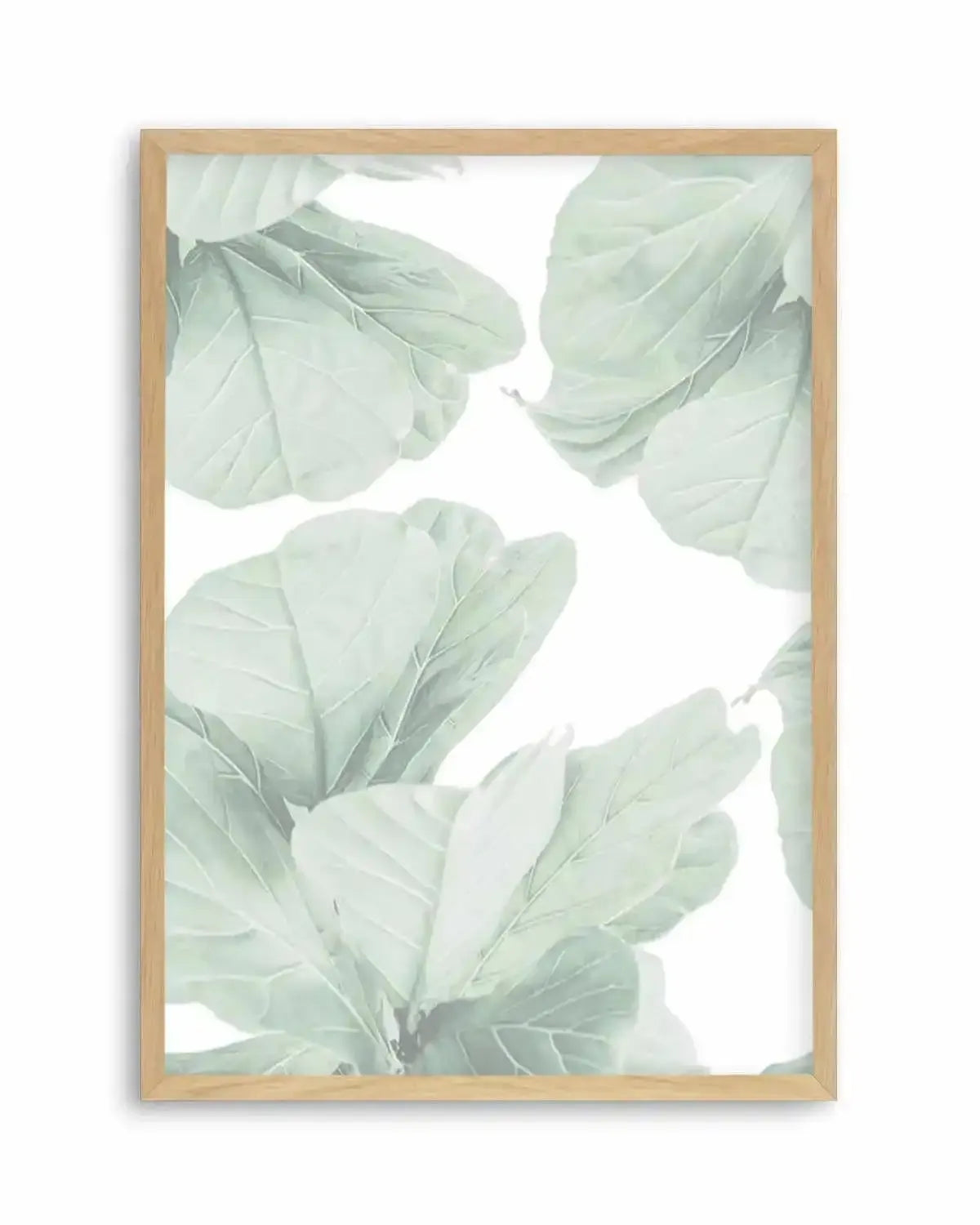Fig Leaves II Art Print from Olive et Oriel where you can shop wallpaper and artworks online