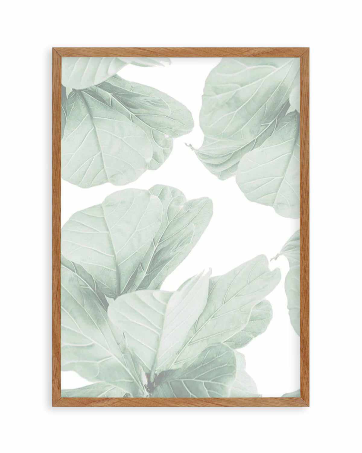 Fig Leaves II Art Print