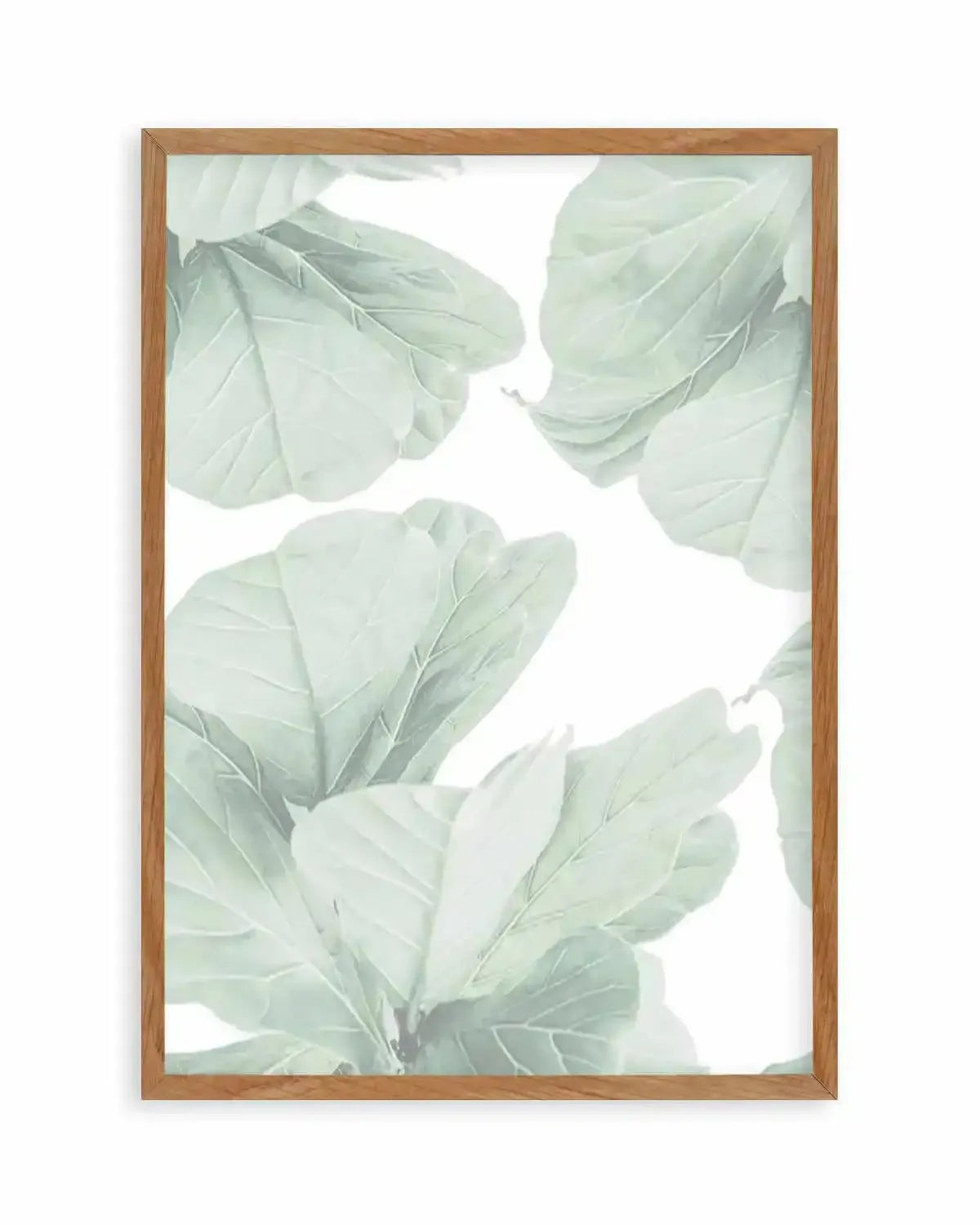Fig Leaves II Art Print from Olive et Oriel where you can shop wallpaper and artworks online
