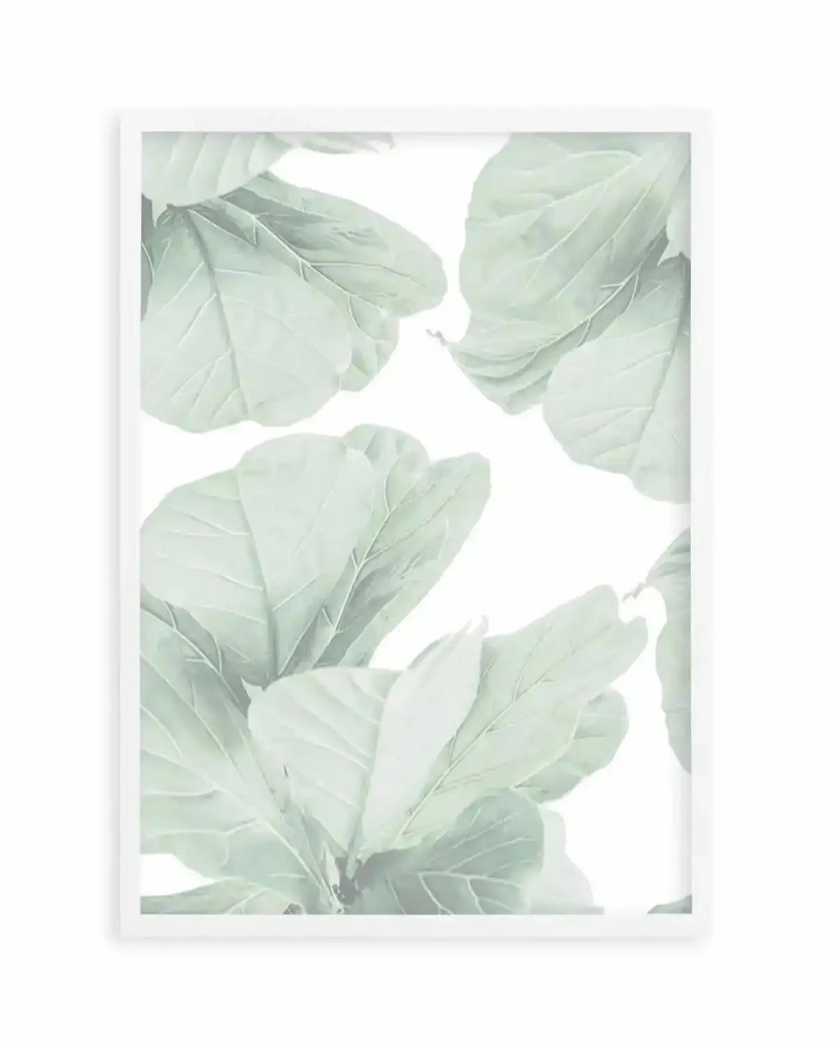 Fig Leaves II Art Print from Olive et Oriel where you can shop wallpaper and artworks online