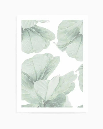 Art print featuring a close-up composition of large fig leaves in a soft, muted sage green against a bright white background. The leaves have visible vein details and a smooth, slightly textured appearance, creating a fresh botanical feel.
