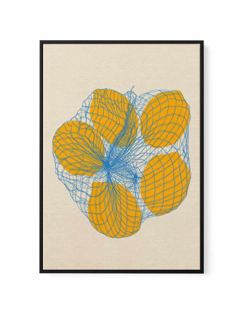 Five Lemons In a Net Bag by Rosi Feist | Framed Canvas Art Print