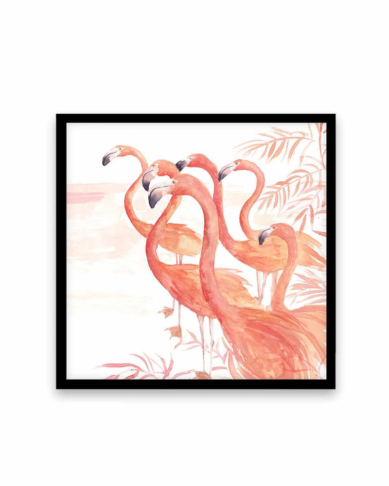 Flamingo Group I Art Print