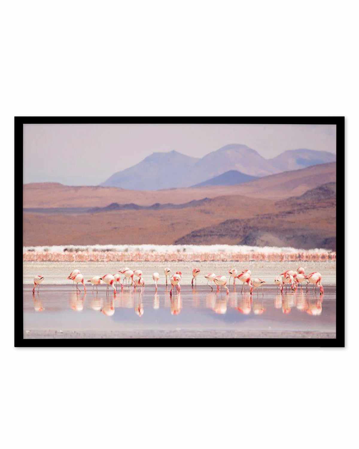 Flamingos | LS Art Print