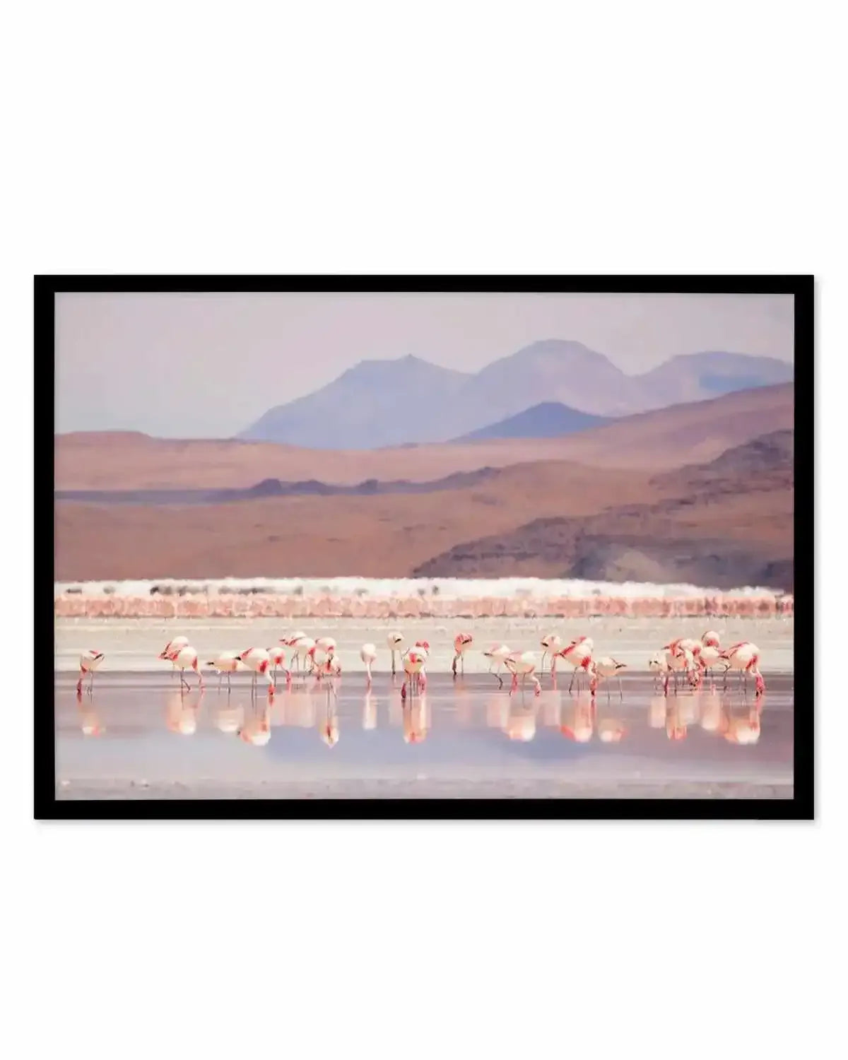 Flamingos | LS Art Print from Olive et Oriel where you can shop wallpaper and artworks online