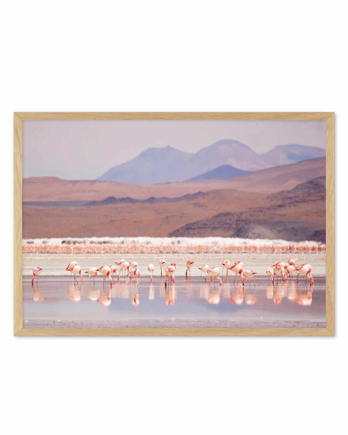 Flamingos | LS Art Print