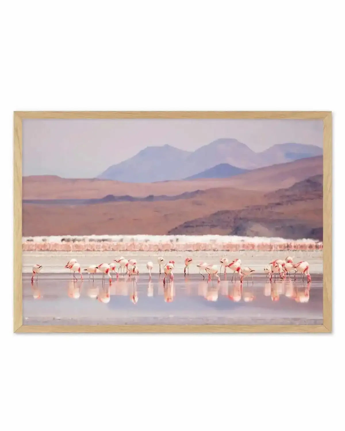 Flamingos | LS Art Print from Olive et Oriel where you can shop wallpaper and artworks online