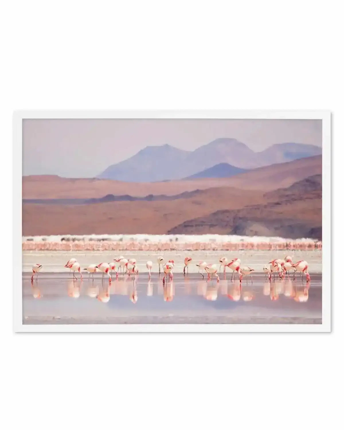 Flamingos | LS Art Print from Olive et Oriel where you can shop wallpaper and artworks online