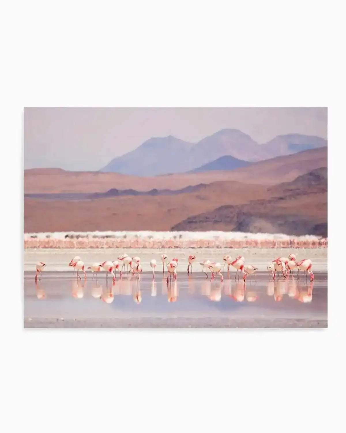 Flamingos | LS Art Print from Olive et Oriel where you can shop wallpaper and artworks online