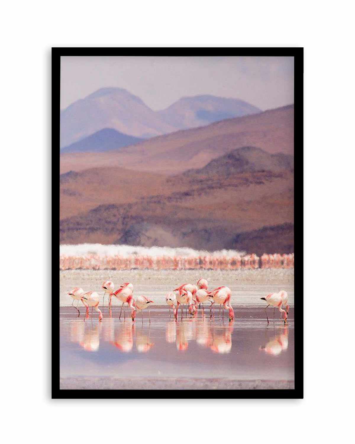 Flamingos | PT Art Print